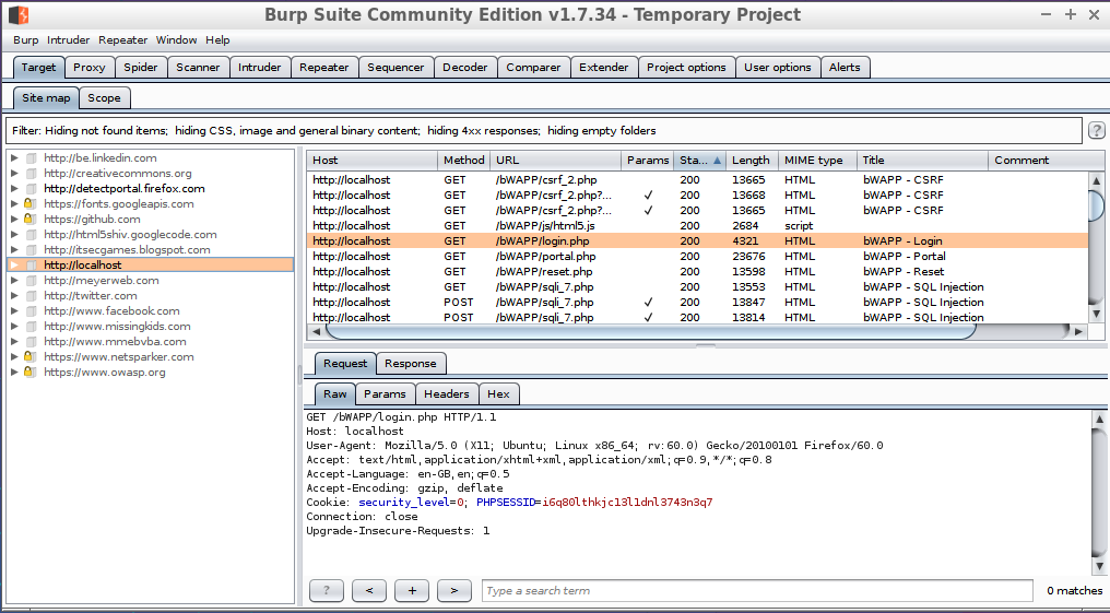 Burp Suite Interface